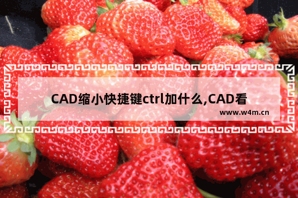 CAD缩小快捷键ctrl加什么,CAD看图放大快捷键