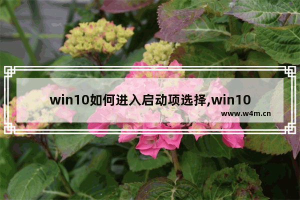 win10如何进入启动项选择,win10.1怎么进入高级启动选项