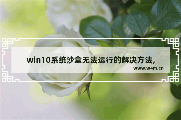 win10系统沙盒无法运行的解决方法,