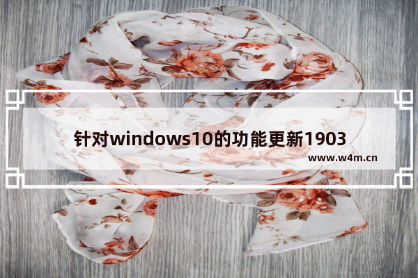 针对windows10的功能更新1903,Win10 1903