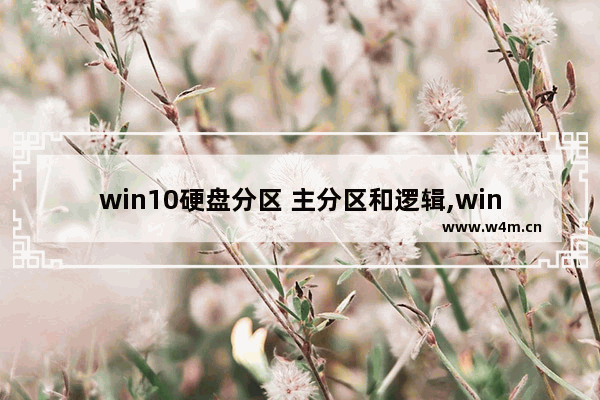 win10硬盘分区 主分区和逻辑,windows主分区和逻辑分区