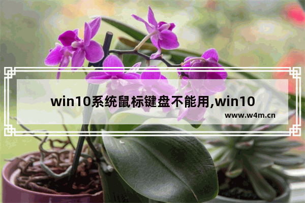 win10系统鼠标键盘不能用,win10键盘鼠标不能用