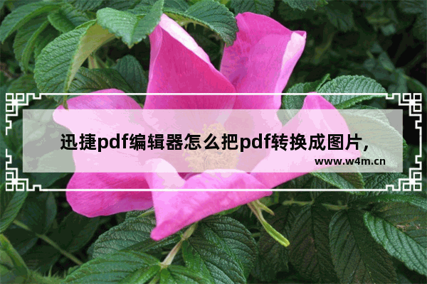 迅捷pdf编辑器怎么把pdf转换成图片,pdf怎么转换成jpg图片迅捷