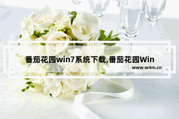 番茄花园win7系统下载,番茄花园Windows