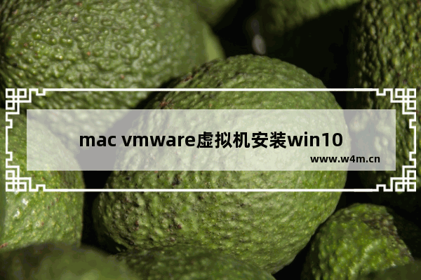 mac vmware虚拟机安装win10,苹果电脑安装vmware fusion