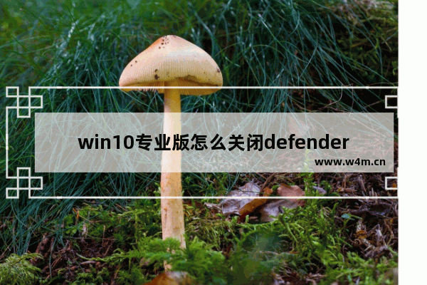 win10专业版怎么关闭defender,window10专业版怎么关闭defender