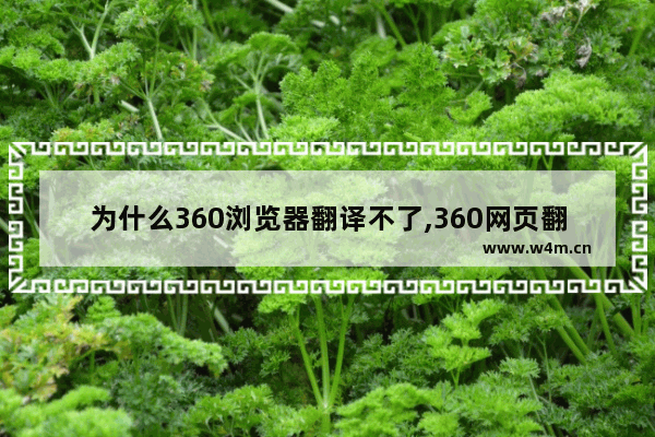 为什么360浏览器翻译不了,360网页翻译无法使用