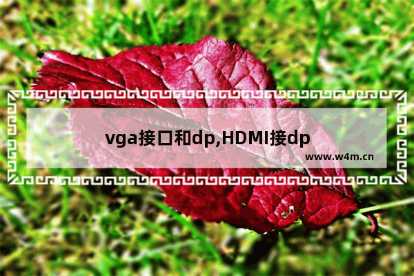 vga接口和dp,HDMI接dp