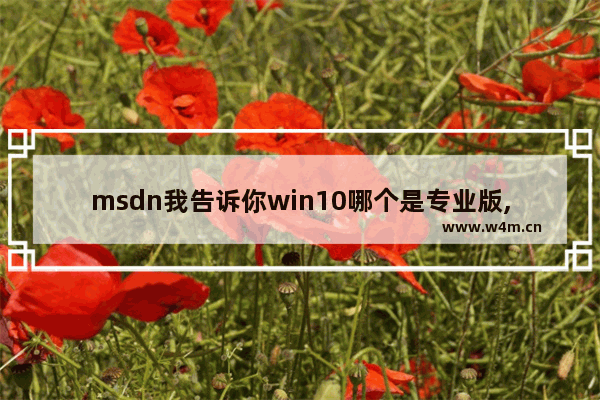 msdn我告诉你win10哪个是专业版,msdn我告诉你系统