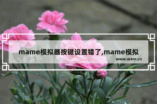 mame模拟器按键设置错了,mame模拟器怎么开始游戏