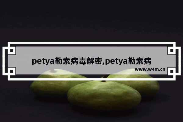 petya勒索病毒解密,petya勒索病毒样本