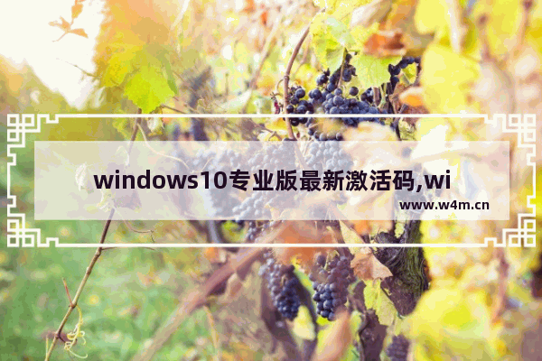 windows10专业版最新激活码,win10激活码大全2019