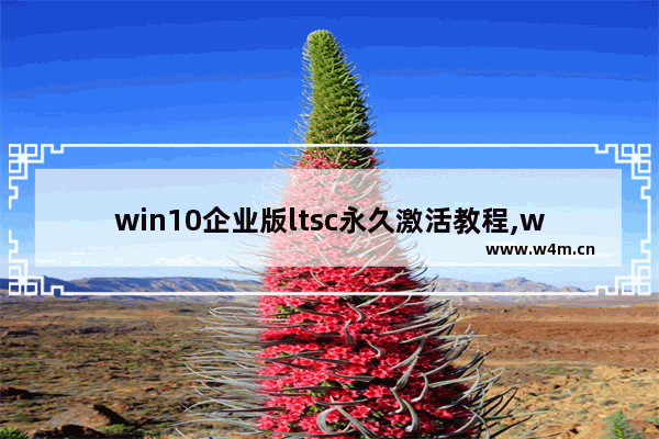 win10企业版ltsc永久激活教程,windows10企业版ltsc怎么激活