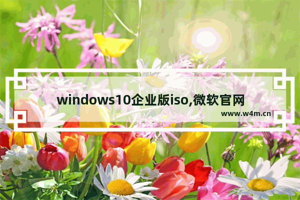 windows10企业版iso,微软官网下载win10企业版镜像