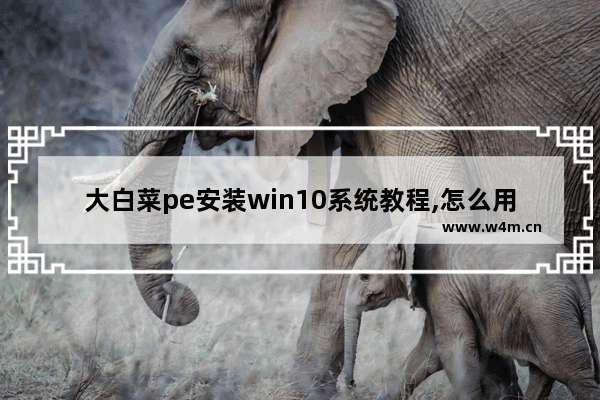 大白菜pe安装win10系统教程,怎么用大白菜安装win10