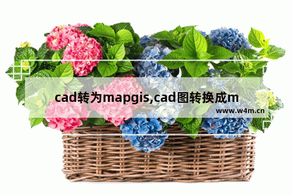 cad转为mapgis,cad图转换成mapgis