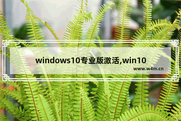 windows10专业版激活,win10 激活版