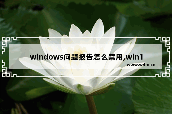 windows问题报告怎么禁用,win10疑难解答被禁用