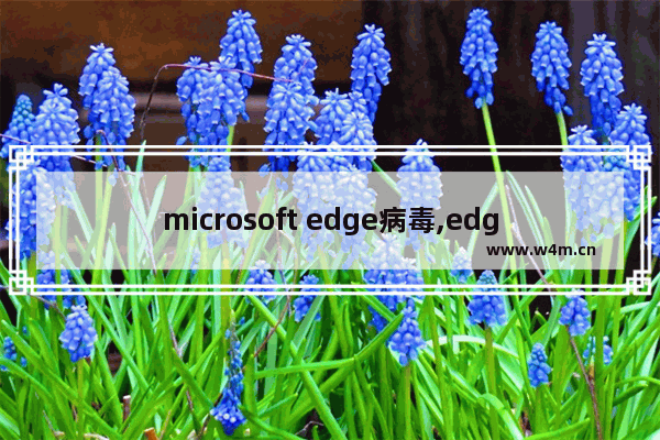 microsoft edge病毒,edge浏览器报毒