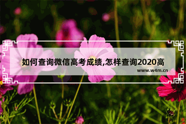 如何查询微信高考成绩,怎样查询2020高考成绩