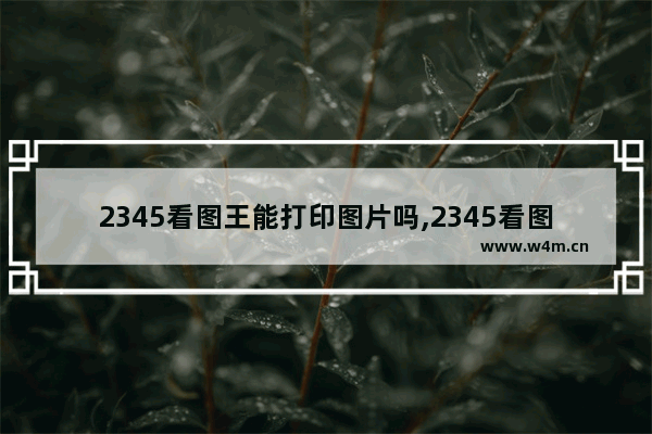 2345看图王能打印图片吗,2345看图王如何打印图片