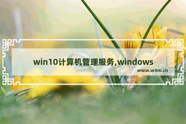 win10计算机管理服务,windows10系统服务设置