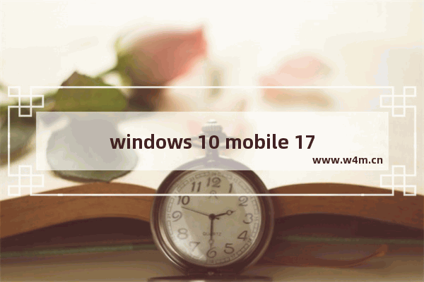 windows 10 mobile 1709,win1019042.630版_1