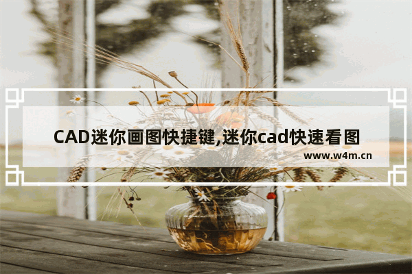 CAD迷你画图快捷键,迷你cad快速看图