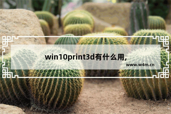 win10print3d有什么用,