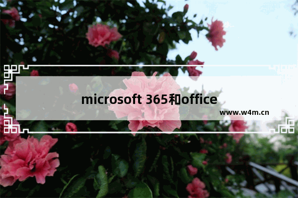 microsoft 365和office区别,office 365好用吗