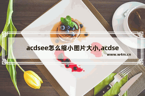 acdsee怎么缩小图片大小,acdsee5.0怎么批量改图片大小