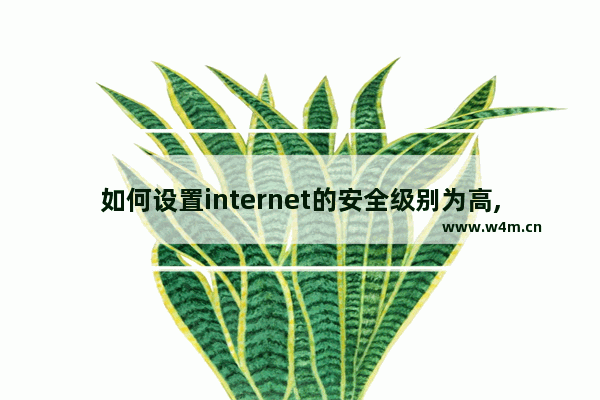 如何设置internet的安全级别为高,internet浏览器安全设置