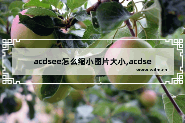 acdsee怎么缩小图片大小,acdsee5.0怎么批量改图片大小