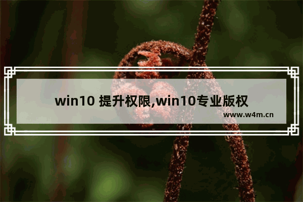 win10 提升权限,win10专业版权限管理解除