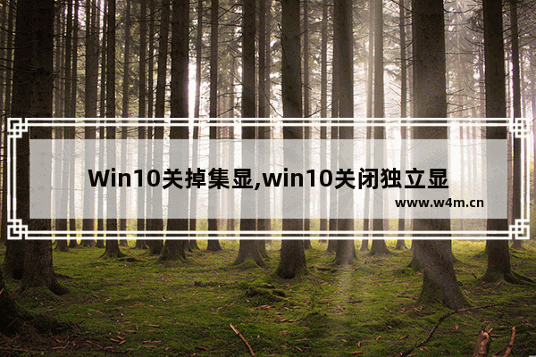 Win10关掉集显,win10关闭独立显卡