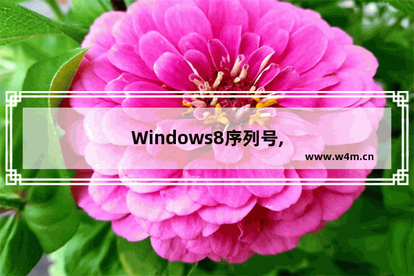 Windows8序列号,