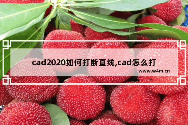 cad2020如何打断直线,cad怎么打断线条