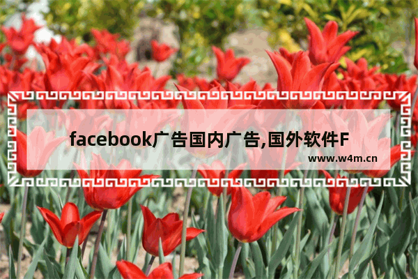 facebook广告国内广告,国外软件Facebook