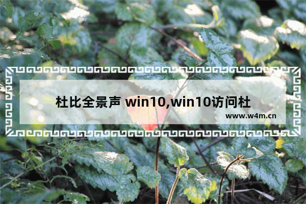 杜比全景声 win10,win10访问杜比全景声驱动程序时发生问题