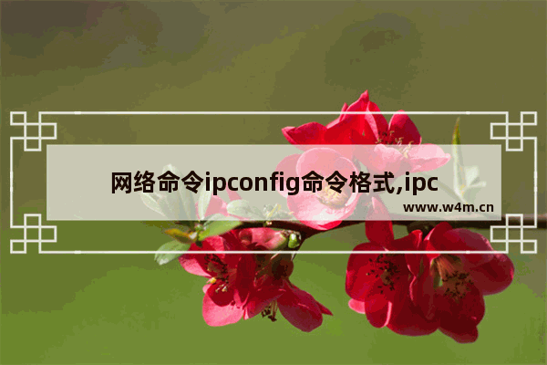 网络命令ipconfig命令格式,ipconfig命令大全