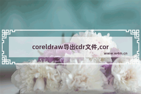 coreldraw导出cdr文件,coreldraw如何保存为CDR格式