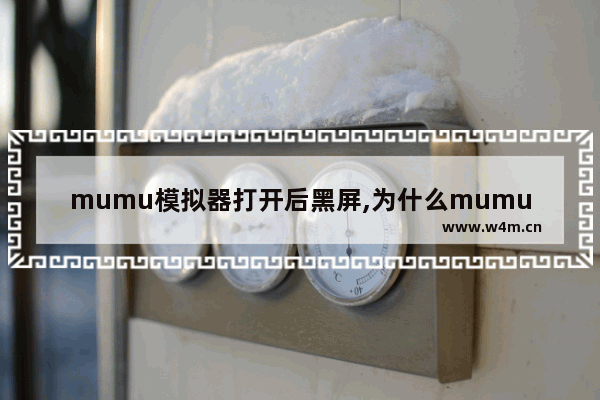 mumu模拟器打开后黑屏,为什么mumu模拟器黑屏