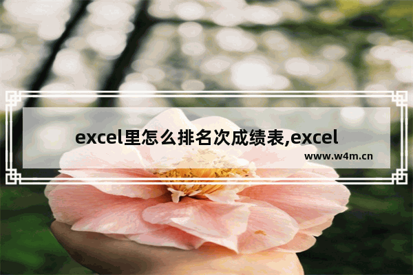 excel里怎么排名次成绩表,excel怎么给成绩单排名次