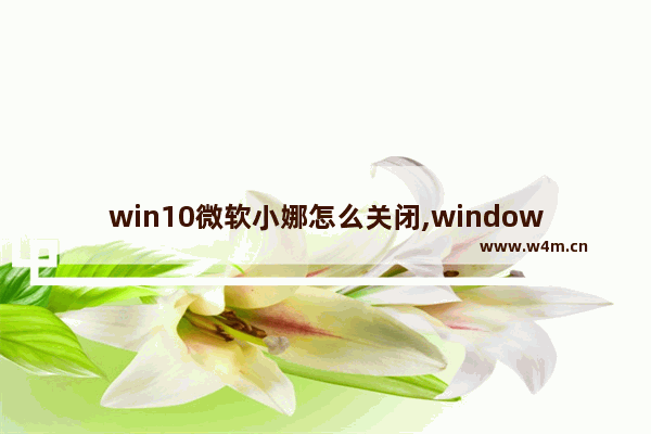 win10微软小娜怎么关闭,windows怎么禁用小娜