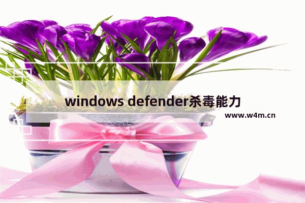 windows defender杀毒能力,系统为windows defender应用程序防护