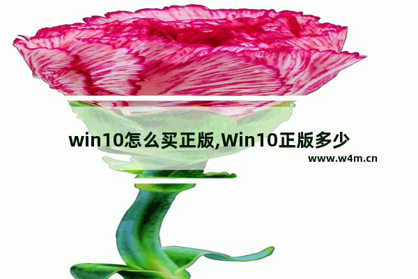 win10怎么买正版,Win10正版多少钱