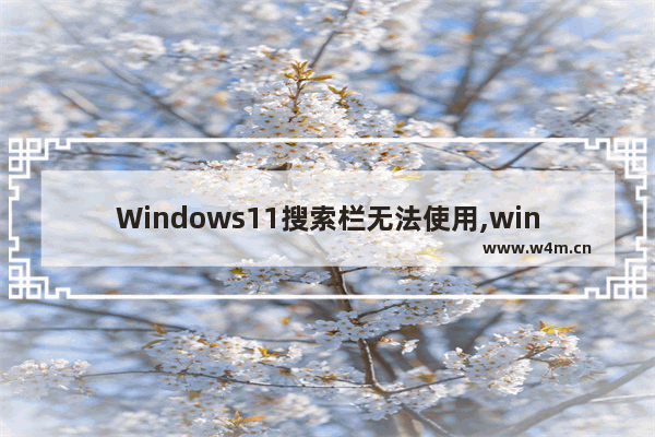 Windows11搜索栏无法使用,win10搜索栏输入不进去