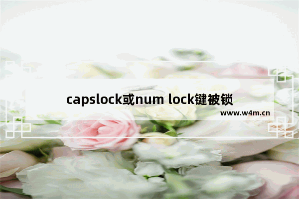 capslock或num lock键被锁住了,电脑scroll lock怎么开