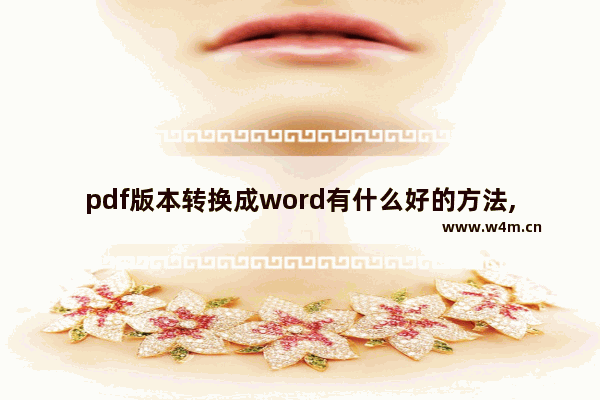 pdf版本转换成word有什么好的方法,用什么可以pdf转word