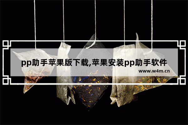 pp助手苹果版下载,苹果安装pp助手软件下载